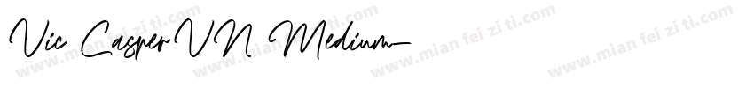 Vic CasperVN Medium字体转换